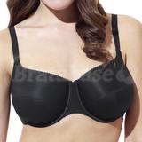 30D - Panache » Tango Classic Plunge (4806)