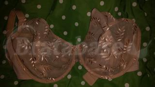 36GG - Panache » Tango Ii Plunge Bra (3256) | Bratabase