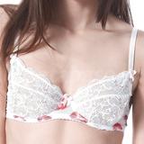 28DD - Mimi Holliday » Feast Silk Chiffon Comfort Bra (AW14-271)