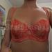 28E - Masquerade » Anise (6171)