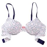 36C - Aerie » Hannah Printed Cotton Lightly Lined Bra (0793-7133)