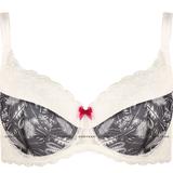 75B - Gorteks » Sharon Padded Bra (B-402)