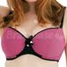 32J - Curvy Kate » Starry Eyed Padded Bikini (CS2211)