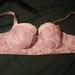 32F - Freya » Just Flew In Padded Longline Bra (1393) | 