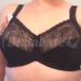 34G - Lilyette » Enchantment Feather Lace Bra (0432)