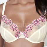 30D - Panache » Erin (6066)