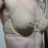 Side gap with high underwire, not narrow enough? 32D - Wacoal » Halo Lace  Underwire Bra (851205)