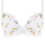 36FF - Freya » Medley Moulded Plunge Bra (5650)