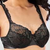 38D - Bali » Lace Desire Underwire (6543)