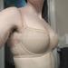 28E - Cleo » Maddie Moulded T-shirt Bra (7201)