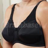 42FF - Royce » Jasmine Carress Bra (423P)