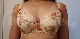 65H - Comexim » Ingrid Plunge Bra (289)