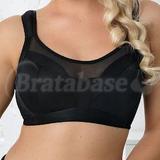 65T - Nessa » Sport Bra (519)