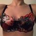 30D - Panache » Paloma (6711)