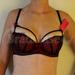 55E - Ewa Michalak » Ch Cherry (792) | 