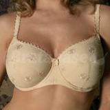 30D - Panache » Daisy (3231)