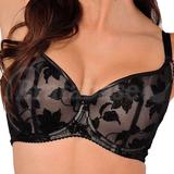 85K - Comexim » Belle De Nuit Half Cup