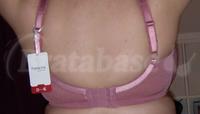 32K - Panache » Jasmine (6951) Wearing bra - Back view