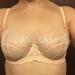 30D - Panache » Ariza Balconnet Bra (5051)