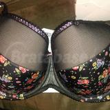 Floris Padded Bra (B4)