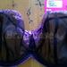 28J - Curvy Kate » Bardot Balcony Bra (SG3101)