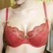 30F - Cleo » Brooke (5141)