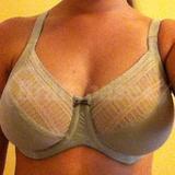 34D - Lilyette » Enchantment Lace Minimizer (0434)