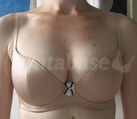 Bra: 65E Size