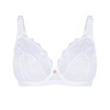 42E - Oola » Lace And Logo Non-padded Underwire Bra