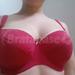 28GG - Cleo » Blake Balconnet Bra (9151)