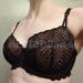 30F - Freya » Escape Lace Padded Half Cup Bra (1863)