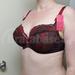 70F - Ewa Michalak » Bm Chilli (1501)