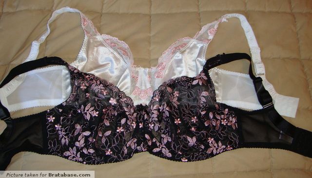 Ladies Satin and Lace Wired Bras in Large Sizes Gemm by Dipti