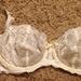 32E - Elle Macpherson Intimates » Gentle Jade Underwired Bra (E76-924)