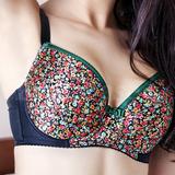 80A - Comexim » Florence Plunge Bra (172)