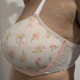 34FF - Freya » Cherish Me Moulded Plunge (404031)