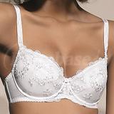 80A - Kris Line » Fortuna Push-up