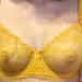 32B - Mimi Holliday » Honeycomb Silk Satin Non Padded Comfort Bra (AW14-211)