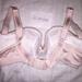 70DD - Ewa Michalak » Chp Marcepanowa Magnolia (694) | 