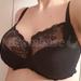 32HH - Bravissimo » Lacey Bra (LN486) | 