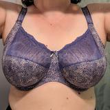 Buy Elomi Women's Plus Size Mariella Stretch Lace Underwire Banded Bra  Online at desertcartINDIA