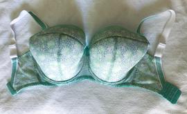 60P - Comexim » Pearl Flower Mint Plunge Bra (390)