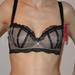 65C - Ewa Michalak » Chp Noir (775) | 