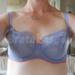 32E - Cleo » Marcie Balconnet Bra (6831) | 