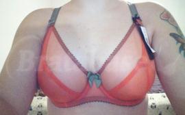 30FF - Claudette » Dessous Mesh Underwire Bra (CD2000)