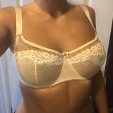 65H - Kinga » Limpid Ii Soft Bra (SC-673)