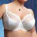 70G - Kris Line » Stella Semi Soft