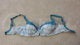 34F - Freya » Secret Garden Padded Half Cup Bra (1373)