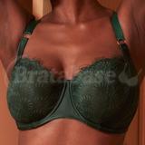 32E - Bravissimo » Adele (LN888)