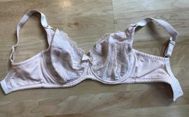 70G - Ewa Michalak » Bm Apricot (1059)